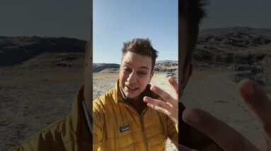 The first thing you should train any dog