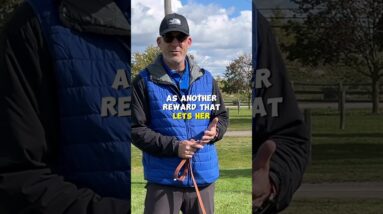 Tone Matters In Your Dog Training