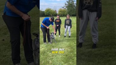 Train LESS Get MORE!