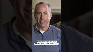 What behaviors are you NURTURING with your dogs? #dogtraining  #dog #pet