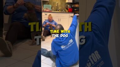 Who Should Train The Puppy?