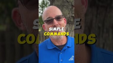 Your Puppy Training Should Focus On THIS!