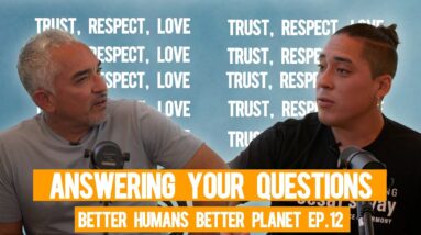 Cesar! My dog is scared to get into the car. What do i do? We answer your questions! | BHBP EP.12