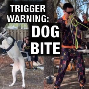 Exposed: What Really Happened at “dog daddy”Augusto Deoliveira’s Tampa event. TW: Dog Bite