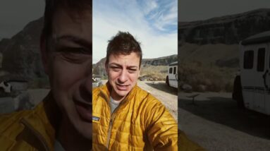 How to train sit stay and down without touching a dog