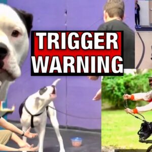 TRIGGER WARNING: Side-By-Side Comparison: Zak George VS Dog Daddy 🤬😱🫣