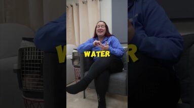 Puppy Crate Training Schedule