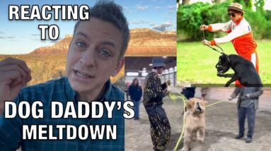 Reacting to Dog Daddy's Meltdown
