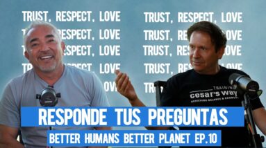 Cesar Millan responde tus preguntas sobre cuidado y entrenamiento canino. | BHBP EP. 10