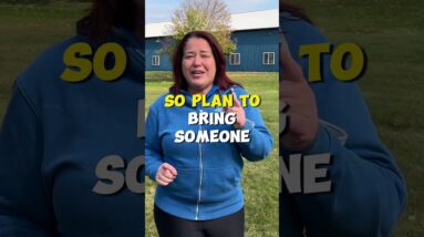 Traveling Home With A New Puppy Tips