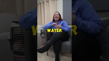 What's Your Crate Training Schedule? #mccanndogs