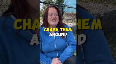 Why You Need A House Line In Puppy Training