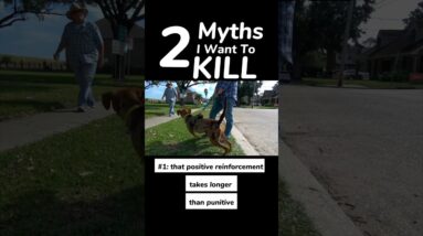 2 Myths I Want to Kill ☠️