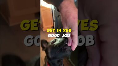 30 Sec. Morning Puppy Training Tip