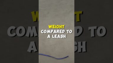 A Leash And A House-line Are NOT The Same Thing!