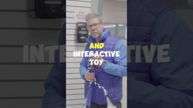 Best Toys For Puppies