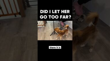 Did I let her go too far?