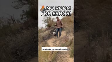 🚫NO ROOM FOR ERROR🚫