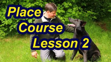 How to train your dog to Place!
