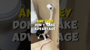 I Don't "Puppy Proof" My Home