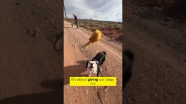 I *will* break in if I have to…