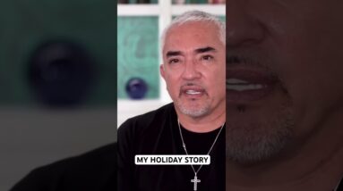 My Holiday Story. Where I spent Christmas and New Years, many years ago.