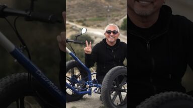 CM Limited Edition Sacco Cart is here! Get yours at Saccodogcart.com ❤️