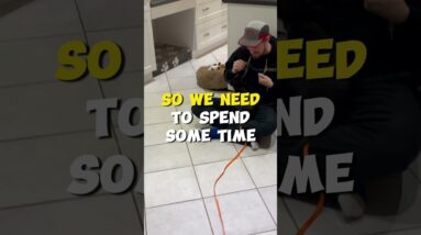 Say THIS To Your Puppy