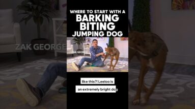 She’s Doing EVERYTHING BAD! 😫 Where Do I Start??