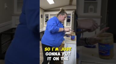 Small Dog Training Tool??