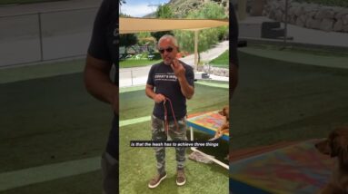 The Power of the Leash! #dog #cesarmillan #dogtraining
