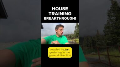 What Does a POTTY TRAINING BREAKTHROUGH Look Like??