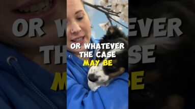 Who's Really Benefiting From This?