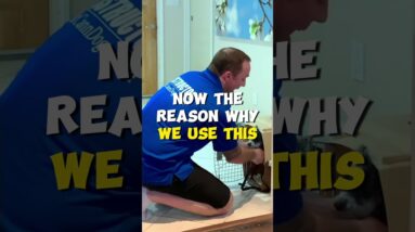 Why Use A Puppy House-Line?