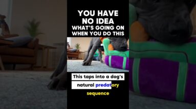 You Have No Idea Wha’s Going On When You Do This