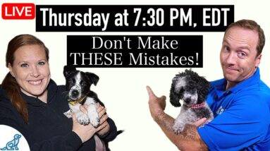 7 Puppy Training "Shortcuts" That UNDO Your Training!