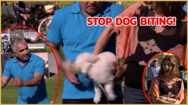 Addressing Nervous Energy | Cesar Millan's Dog Nation