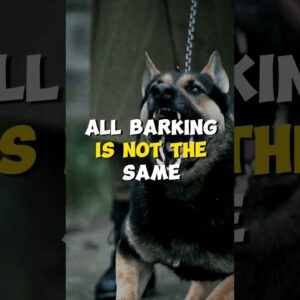 All Barking is NOT The Same