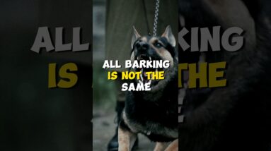 All Barking is NOT The Same