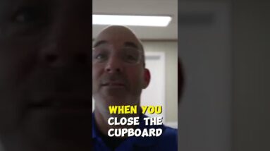 Can Dogs Learn Different Languages?