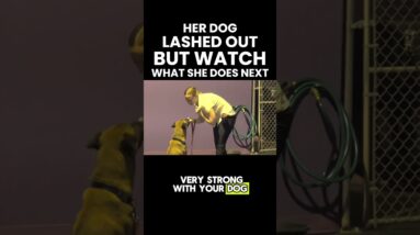 Her Dog Lashed Out - But Watch What She Does Next!