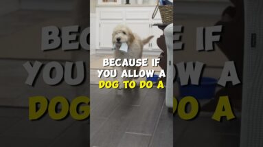 It's NEVER Too Late to Start Training!