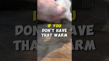 Keep A Bowl Of Warm Water At Your Back Door?