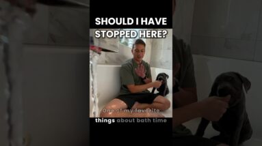 Should I Have Stopped Here?