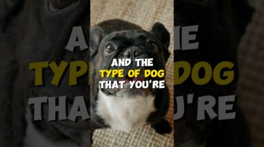 Size DOESN'T Matter!