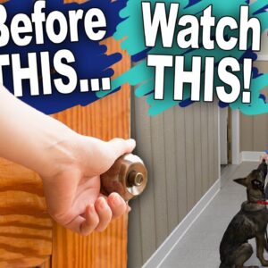 Stop Leash Pulling By Doing THIS Before Every Walk!