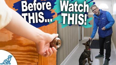Stop Leash Pulling By Doing THIS Before Every Walk!