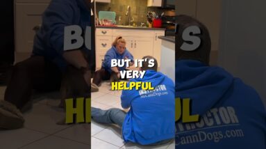 When Your Dog ONLY Listens To YOU!