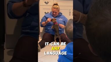 Words Don't Matter to your Puppy
