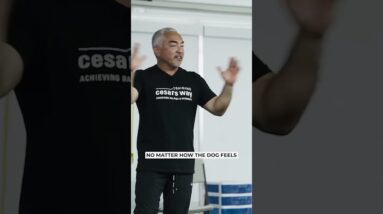 Are you giving love at the wrong time? ⏱️